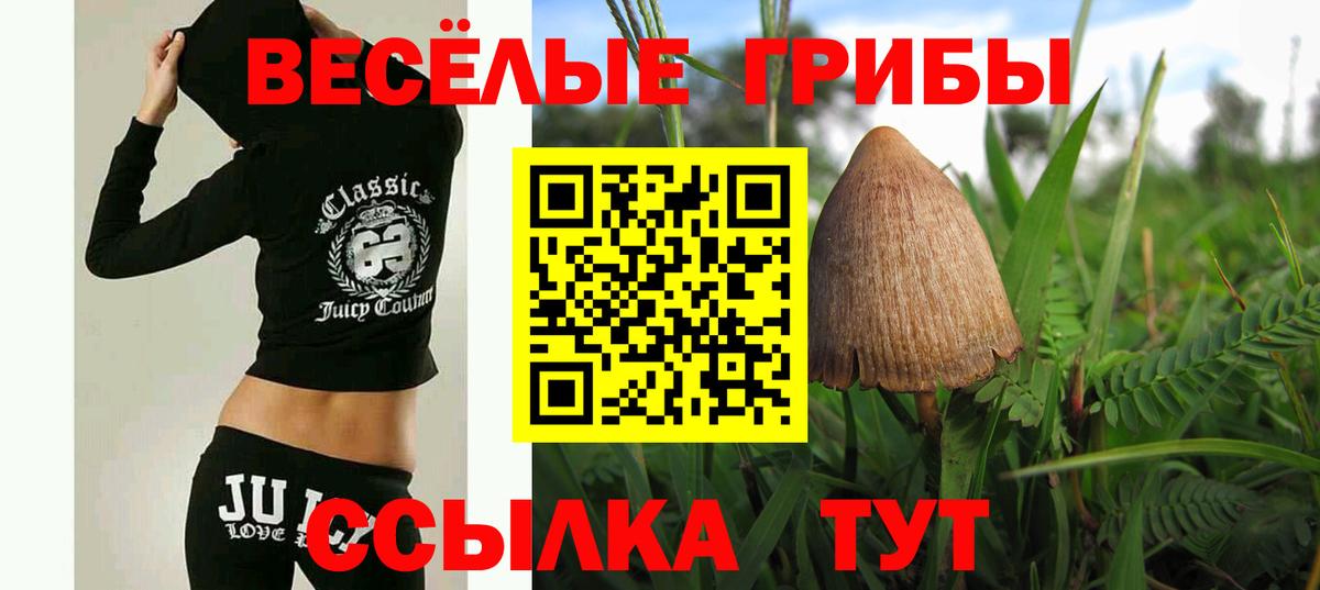 Псилоцибиновые грибы Psilocybe  Вход с VPN  Мариинск  Галлюциногенные грибы MAGIC MUSHROOMS 